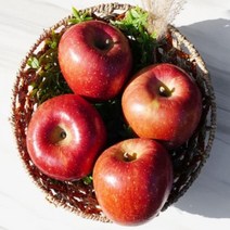농부파파 경북 청송 저온착즙 달콤한 사과즙 사과주스 110ml 50포, (흠집) 5kg 거의정품(11-15과)