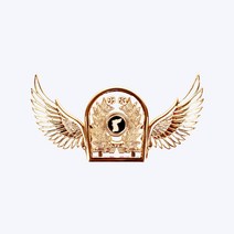 라인 날개 전역뱃지 금색