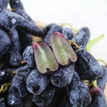 프리미엄 블랙사파이어포도 2kg