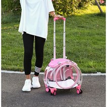 투명 고양이 강아지 캐리어 여행용 백팩 배낭 케이지, 9kg이하, H