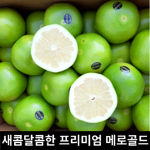 새콤달콤 미국 청자몽 메로골드 대과 8개 16개 / 당일선별 스위티 청 자몽 미국산 메로골드자몽 황금자몽 청자몽 청자몽메로골드 메로자몽 골드자몽 자몽청, 점보 6개(3.5kg내외)