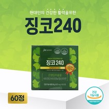 중외제약 징코120 60정 혈행개선 기억력개선 은행잎추출물