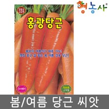 홍광당근씨앗 1500립