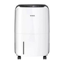 코스트코 위닉스 제습기 10L DXAC100-KWK