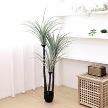 1300K 고급 인조나무 조화화분 드라세나 드라코 165cm, 단품
