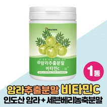 암라가루 인디안 구스베리 천연비타민C 분말 암라추출물 가루 AMLA, 230g x 1통