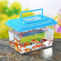 다용도 곤충 채집통 투명 S M L 사육통 관찰통 잠자리통 다슬 기보 관통, 중(랜덤)