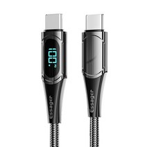 에세이저 디스플레이 c to c 케이블 100w 고속충전케이블, 2m, 블랙