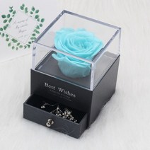 프리츠한센 이케바나 도자기 화병 항아리 독특한 유리 돔 장미와 조명 아름다운 야수 보존된 장미 발렌타인데이 선물, [17] B