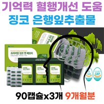 뇌에 좋은 영양제 대두레시틴 뇌건강 플라보놀배당체 인지력 인지질 개선 징코 빌로바 브레인케어 두뇌 뇌건강 학생 주부 직장인 할머니 할아버지 홈쇼핑 추천 기억력개선 항산화 비타민E