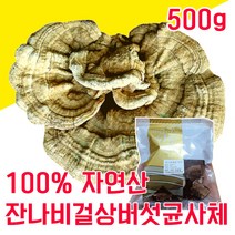 100% 국내 자연산 잔나비 걸상버섯 균사체 불로초 덕다리 500g 인생의 연장전 혈당 조절