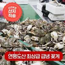 연평도 100% 활꽃게를 급냉한 냉동꽃게 1kg(4~6미), 숫꽃게 3kg(12~18미)