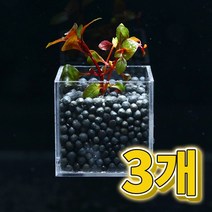 어항수초 컨테이너 루드위지아 슈퍼레드 세트 3개, 단품