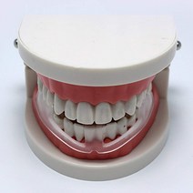 [소공원]이갈이방지 마우스피스 가드 잠잘때 자면서 개구기 이악무는 이꽉무는 이빨갈기 습관 치아보호, 무성형 마우스피스