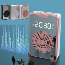 휴대용 블루투스 반복재생 무선 강의 피트니스 유튜브 USB 마이크, 유선마이크(블랙)