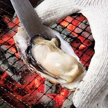 [통영직송] 당일채취 생 굴 석화 각굴 입망굴 하프셀 굴무침 삼배체 1kg 3kg 5kg, 통영 석화5kg(입망굴)