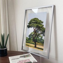 ga490-투명액자38CmX58Cm 우뚝선소나무 2.이미지2/골드브라운