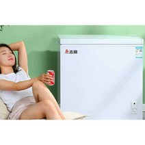 업소용 김치 냉장고 김냉 채소 야채 학교 병원 식당, BD BC-42A108S