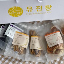 제주산 건조과일칩 3종세트, 1세트, 100g