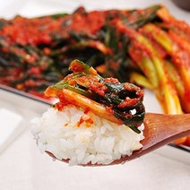후레쉬빌 [HACCP/ 국내산] 25년전통 전라도 파김치 1kg