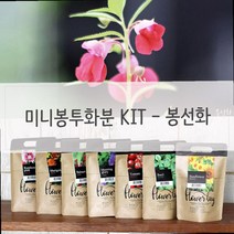 실내에서키우기 좋은식물 현관 침실 아파트 화분 미니화분 식물인테리어 거실화분 키우기쉬운식물