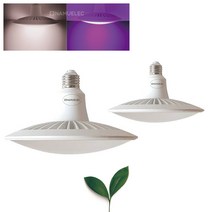 빛솔 LED 식물등 15W 식물생장 재배등 엘이디램프 다육이전구, 선택안함, 보라색