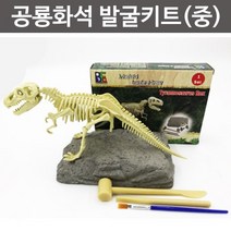 공룡화석 발굴키트 중, 티라노사우루스