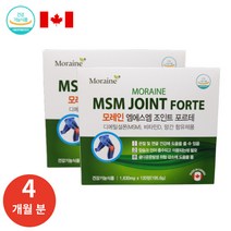 캐나다 모레인 엠에스엠 조인트 포르테 MSM 120정(2개월분) 연골 무릎 관절 영양제 식이유황 초록입홍합, 4개월(2박스)
