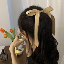 라일리 리본 꽂이 포니테일 헤어 머리핀 2개 세트