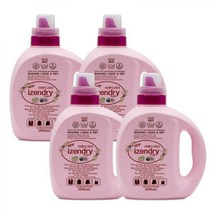 세제혁명 이젠드라이 플러스 세제 본품 184930 1000ml 1세트