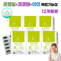 NM 징코큐텐 60캡슐 식약처인증 징코 은행잎 코엔자임Q10 기억력 인지력 개선 도움 높은 혈압 감소 도움 부모님 영양제, 6박스