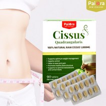 뉴질랜드 파이오라 시서스 1000mg 90정 / 시서스 분말 / 시서스가루