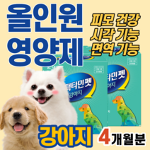 강아지 반려견 올인원 종합 영양제 면역 시각 눈 기능 피모 피부 건강 에너지 대사 모질 활력 관절 건강 몰티즈 소형견 비타민 B 아연 엽산 간수치 빈혈 헤모글로빈 푸들 말티푸 비숑, 2박스