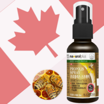 인후스프레이 인후통 인후염 앤 목 스프레이 30ml, 1)스프레이 1개