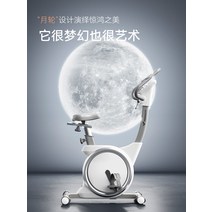 실내 자전거 홈 피트니스 무소음 실버 화이트 감량, [03] 독점적인 흰색 - 16단 기어 지능형 저항 조