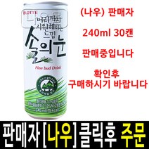 롯데칠성 솔의눈 240ml 30캔 60캔 / 500ml 24페트 솔잎음료