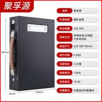 리튬 철 인산철 대용량 24V 12v 배터리 파워뱅크, 12V30AH