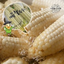 [KT알파쇼핑][팜쿡]괴산 삶은 대학찰옥수수 냉동 30개(팩당3개)