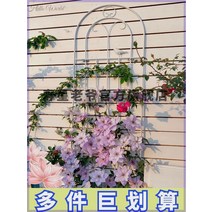 정원 가든아치 단독주택 꾸미기 클레 마티스 포도 나무 프레임 장미 심기 울타리 야외 꽃 지원 막대 철 식물, [04] 큰 너비 50CM 높이 220CM, [01]  작은