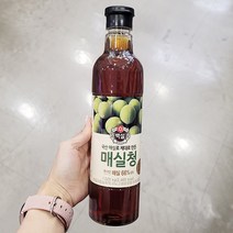 백설 매실청 1 025G x 1개, 단품, 단품