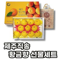 선제이피지 제주 직송 황금향 선물세트 꽉찬 과육 숙성, 3kg(선물박스+부직포가방)