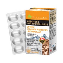 메이플트리 장용성 100억유산균 60캡슐 2개월분