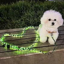 핀아펫 강아지 리드줄 자동 핸즈프리 개줄 애견 소형견 대형견 산책줄 (S), 2 IN 1 LED 리드줄(PP-LED01)