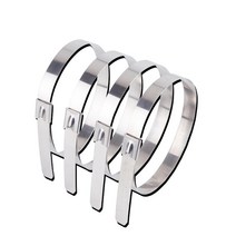 견고한 스테인레스 스틸 호환 201 금속 잠금 타이 배기 파이프 조인트 케이블 덕트 인터페이스 4.6X130-600, 한개옵션1, 11 4.6x600 10pcs