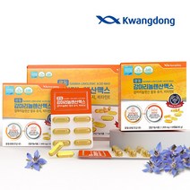 광동 감마리놀렌산맥스 120캡슐 2개월분 보라지종자유 혈중 콜레스테롤 혈행개선, 1개