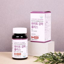 여성갱년기영양제 홍삼 대두이소플라본 면역 피로회복 뼈건강 파이토감마플러스 90캡슐 1개월분, 700mg