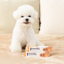 정글몬스터 강아지 세라마이독 피부 진정 보습 연고, 50g, 1개