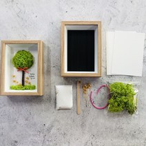 DIY스칸디아모스로 나무만들기 키트(사각 액자) DIY 공기정화식물 천연이끼, 핑크