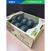 미니단호박 미니밤호박 2kg 3kg 함평월야농협, 2kg(4~8과), 1개