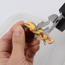 밤껍질 가위 밤가위 탈피기 박피기, 1개